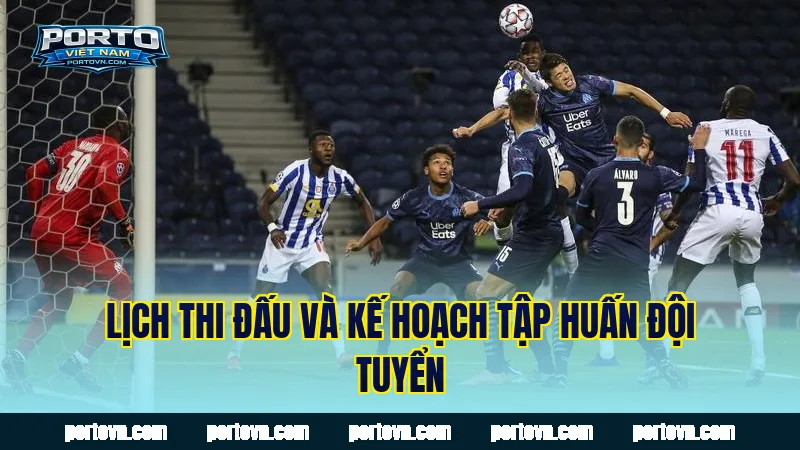 Lịch thi đấu và kế hoạch tập huấn đội tuyển