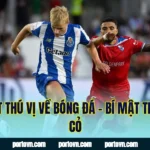 Sự Thật Thú Vị Về Bóng Đá – Bí Mật Trên Sân Cỏ