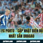 Tin Tức FC Porto – Cập Nhật Biến Động Mới Nhất Sân Dragao