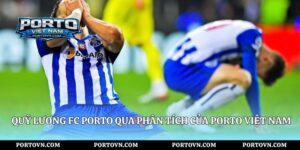 Học Viện FC Porto Và Hệ Thống Đào Tạo Porto Việt Nam
